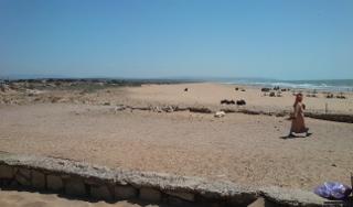 Les vents d'Essaouira