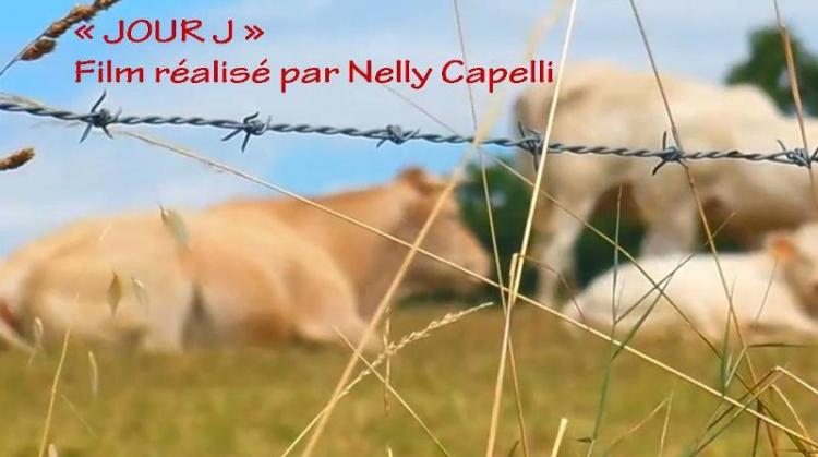 Film: JOUR J de Nelly Capelli